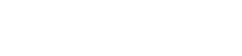 Zenowai logo white